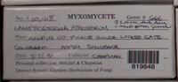 Image Associated With the Occurence